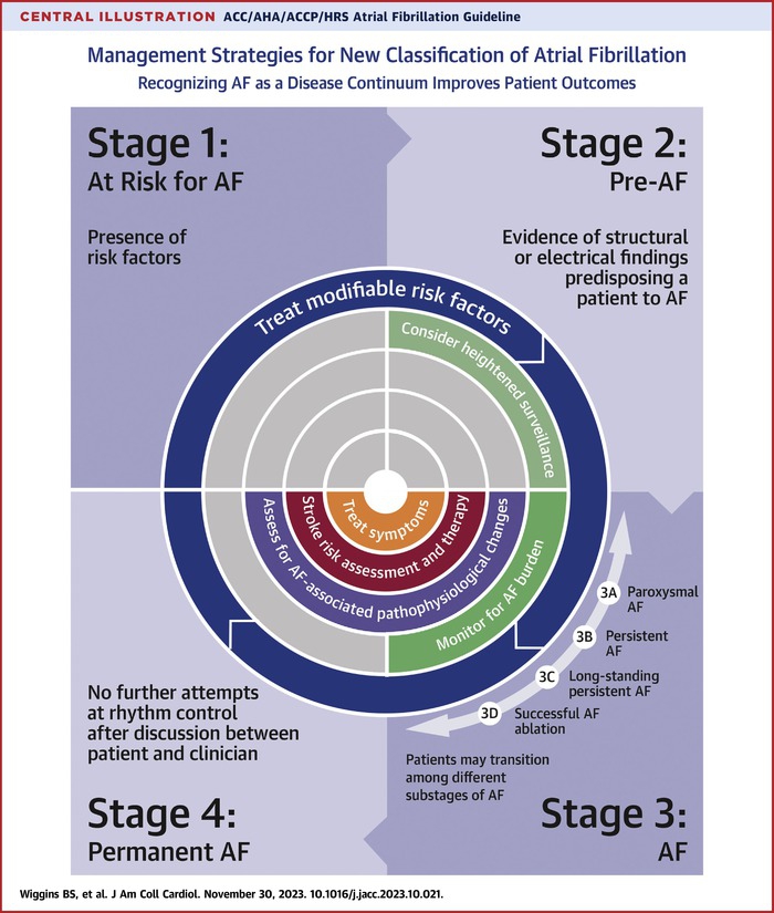 Atrial Fibrillation Focused Update Journal of the American College of